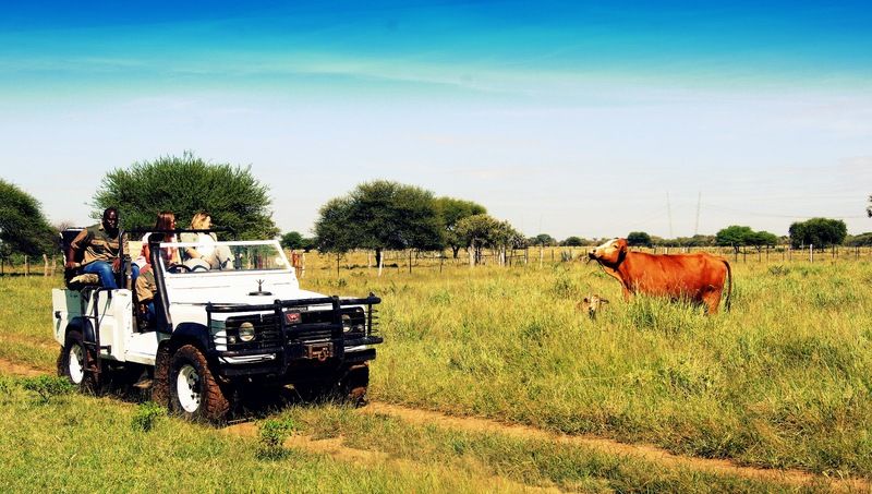 Dornhuegel Guestfarm Hotel Grootfontein ภายนอก รูปภาพ