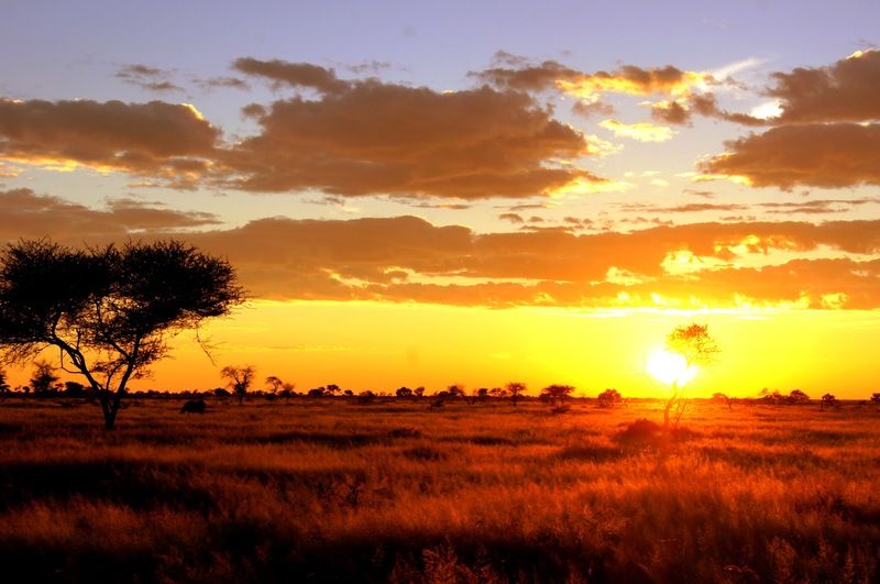 Dornhuegel Guestfarm Hotel Grootfontein ภายนอก รูปภาพ